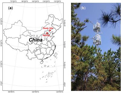 Surface energy partitioning and evapotranspiration in a Pinus tabuliformis plantation in Northeast China